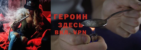 индика Белокуриха