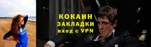 индика Белокуриха