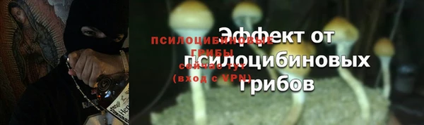 марки lsd Белоозёрский