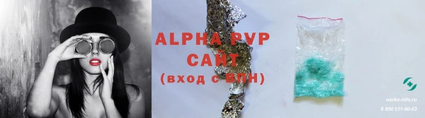 индика Белокуриха