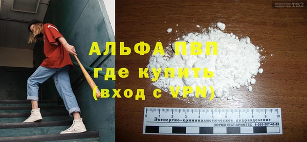 индика Белокуриха