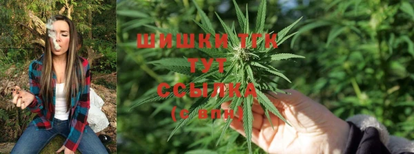 индика Белокуриха