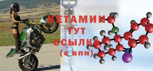 индика Белокуриха