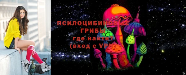 индика Белокуриха